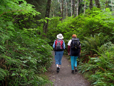 Cape Alava trail