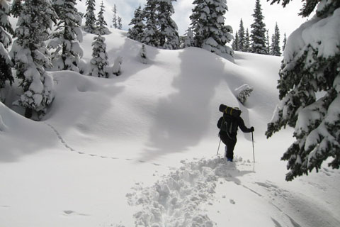 Obstruction Point Road