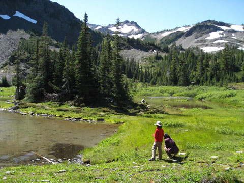 Gladys Lake