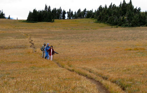 Elwha Overlook